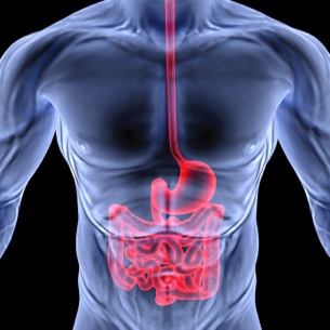 Gastroenterologi - Gastroenterology